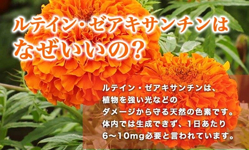 【ルテインのちから】情報サイト